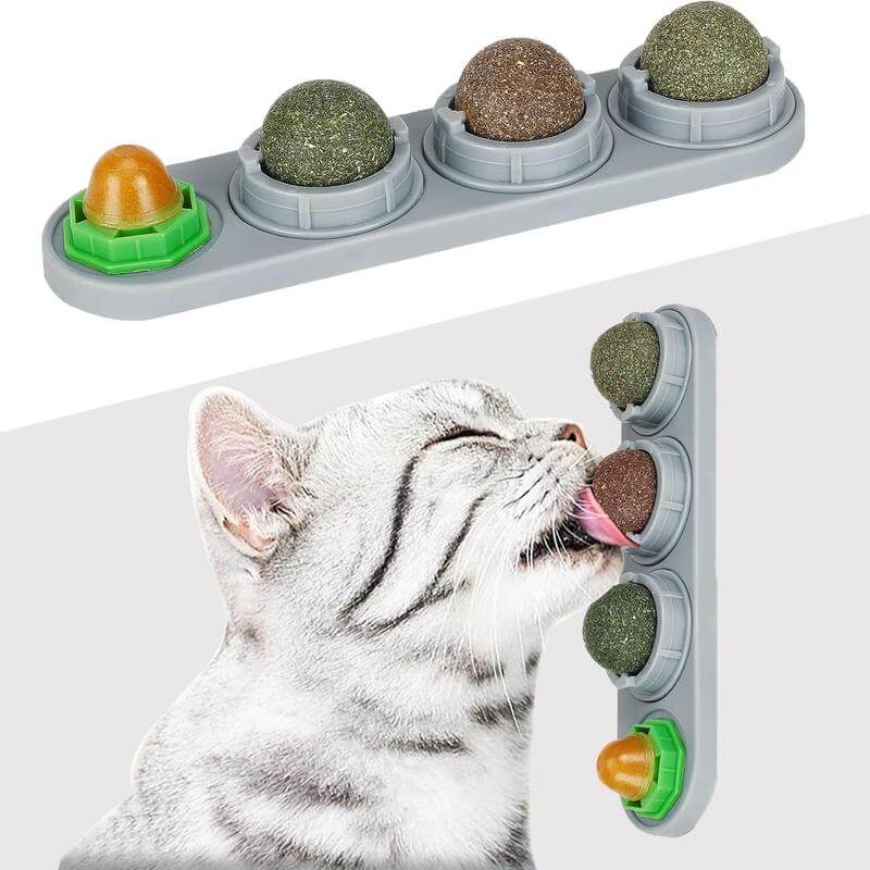 🐾💚 Catnip Energy Ball for Cats 😸✨ Edible & Lick-Safe Chew Toy 🦷🍃 Promotes Healthy Teeth and Playful Energy 🐱🎾 Perfect for Curious Kittens & Happy Cats! 🐈💕