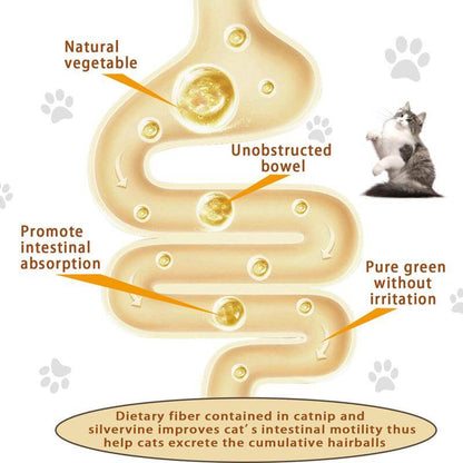 🐾💚 Catnip Energy Ball for Cats 😸✨ Edible & Lick-Safe Chew Toy 🦷🍃 Promotes Healthy Teeth and Playful Energy 🐱🎾 Perfect for Curious Kittens & Happy Cats! 🐈💕