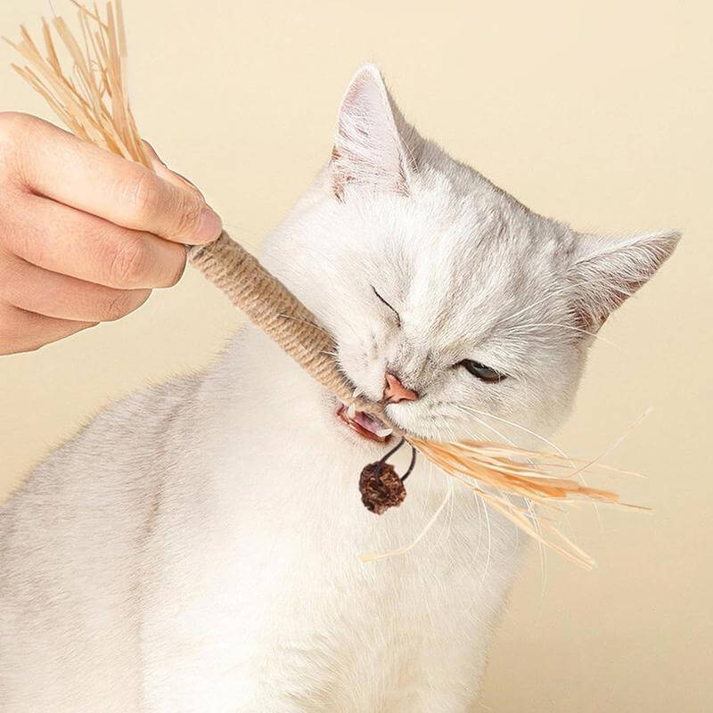 🐾 Premium Cat Chew Stick Toy 😺 Natural Silvervine Sticks 🌿 Catnip Alternative 🦷 Teeth Cleaning & Edible Kitty Treat 🎉