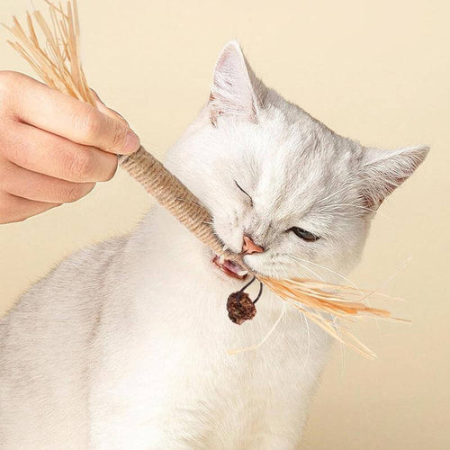 🐾 Premium Cat Chew Stick Toy 😺 Natural Silvervine Sticks 🌿 Catnip Alternative 🦷 Teeth Cleaning & Edible Kitty Treat 🎉