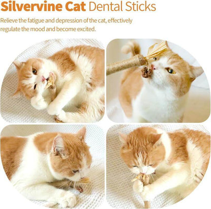 🐾 Premium Cat Chew Stick Toy 😺 Natural Silvervine Sticks 🌿 Catnip Alternative 🦷 Teeth Cleaning & Edible Kitty Treat 🎉
