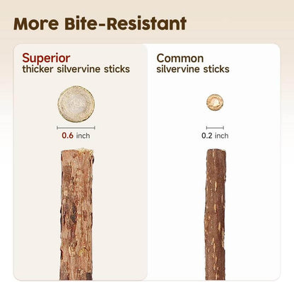 🐾 Premium Cat Chew Stick Toy 😺 Natural Silvervine Sticks 🌿 Catnip Alternative 🦷 Teeth Cleaning & Edible Kitty Treat 🎉