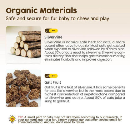 🐾 Premium Cat Chew Stick Toy 😺 Natural Silvervine Sticks 🌿 Catnip Alternative 🦷 Teeth Cleaning & Edible Kitty Treat 🎉